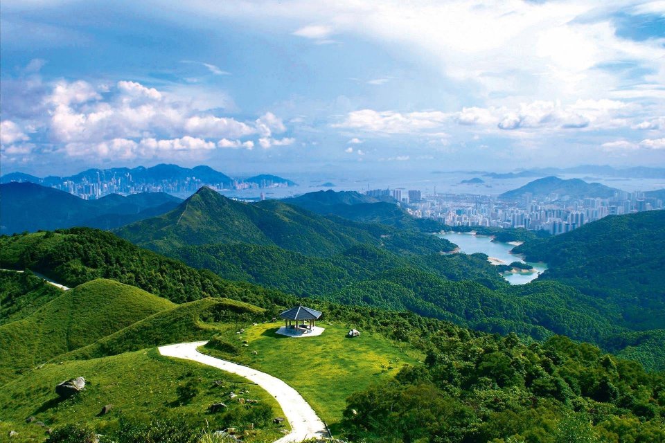 Green-HK-Grassy-hill-on-MacLehose-trail