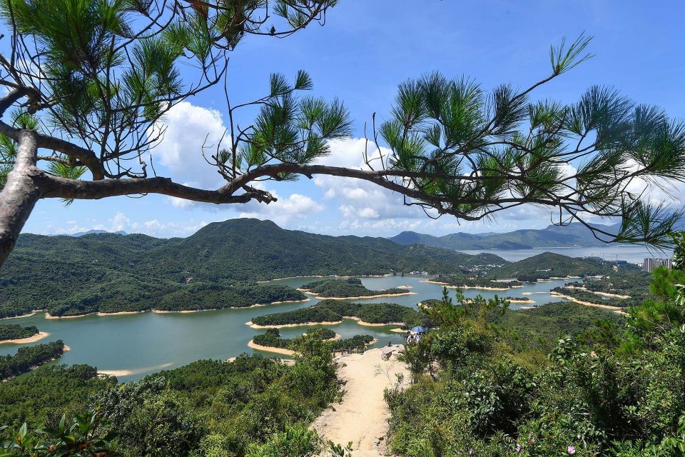 Green-HK-Tai-Lam-Chung-Reservoir